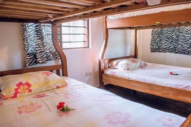 Kijani Cottages Diani Diani Beach Kültér fotó