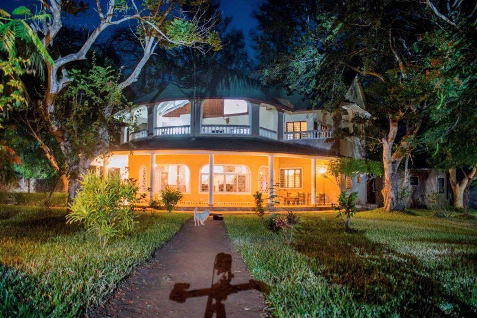 Kijani Cottages Diani Diani Beach Kültér fotó